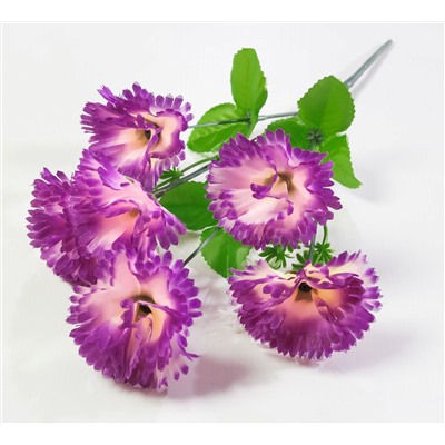 Букет гвоздик "Ривьера" 6 цветков