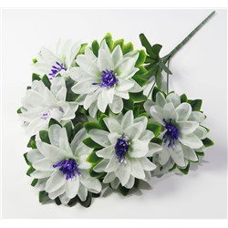 Букет георгина "Пава" 6 цветков