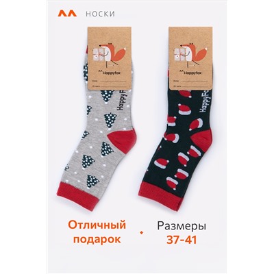 Набор носков 2 пары Happyfox