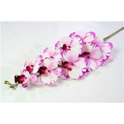 Ветка орхидеи 20