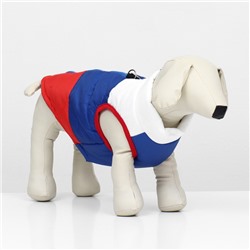 Куртка для собак "Патриот", размер S (ДС 22, ОГ 37 см)