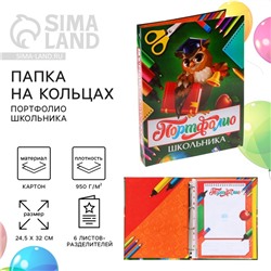 Папка школьная на кольцах «Портфолио школьника», 6 листов-разделителей, 24,5 х 32 см.