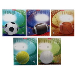 Тетрадь 24 листа в клетку ErichKrause "Мяч в игре", обложка мелованный картон, блок офсет, МИКС (1 вид в спайке)
