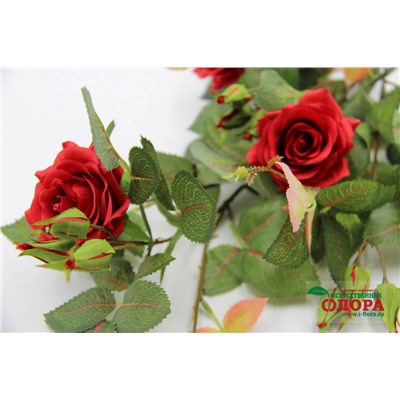 Роза кустовая малая (ВМ-60)