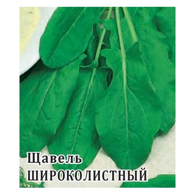 Щавель Широколистный 50,0 г (цена за 1 шт)