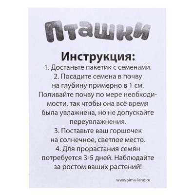 Набор для опытов, для детей «Пташки, выращиваем травку», растение в фиолетовом горшочке