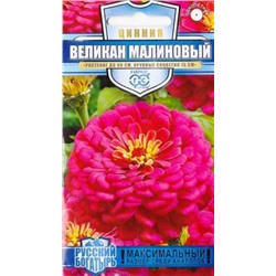 Цинния Великан малиновый (Код: 84700)