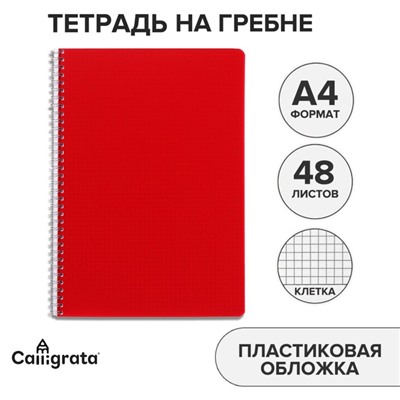 Тетрадь A4, 48 листов в клетку, на гребне, Calligrata, пластиковая обложка, блок офсет, красная