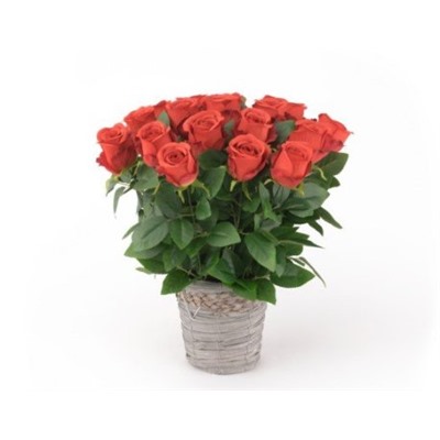 Искусственные цветы, Корзина с цветами "Пласида", выполненная специально для проведения обряда похорон 19 бутонов (1010237)