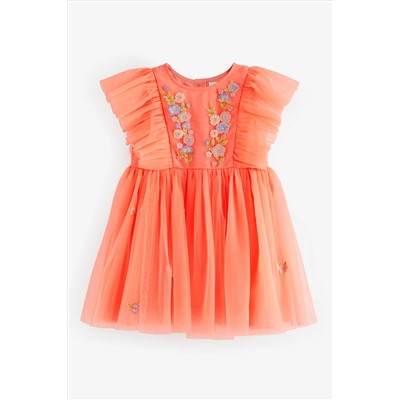 Embroidered Mesh Party Dress (3mths-10yrs)