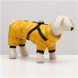 Комбинезон для собак  со шлейкой "Моден",  размер 10 (ДС 25, ОГ 34, ОШ 24 см), жёлтый