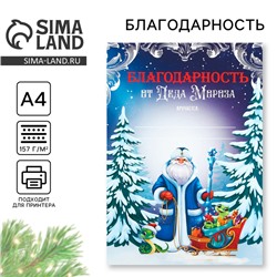 Благодарность от Деда Мороза новогодняя «Дед Мороз и змейка», на Новый год, А4