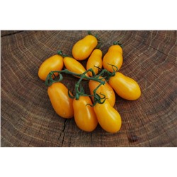 Коллекция редких сортов томатов 2016 года