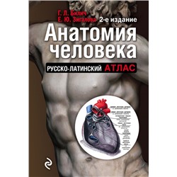 Анатомия человека (цветной атлас): Русско-латинский атлас. 2-е издание Билич Г.Л., Зигалова Е.Ю.