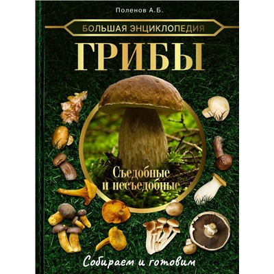 Большая энциклопедия. Грибы. Съедобные и несъедобные. Собираем и готовим. Поленов А.Б.