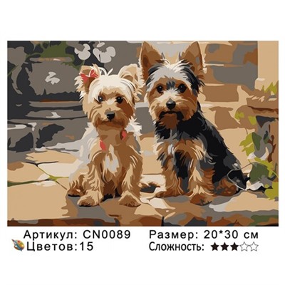 PH23 CN0089, 20х30 см