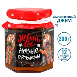 Джем Новый год — новые проблемы