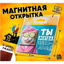 Магнитная открытка, ТЫ ИДЕАЛЬНА, молочный шоколад, 5 г., TM Prod.Art