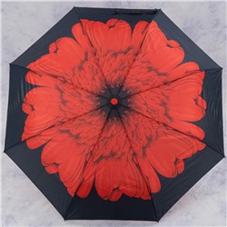зонт 
            28.2048-04