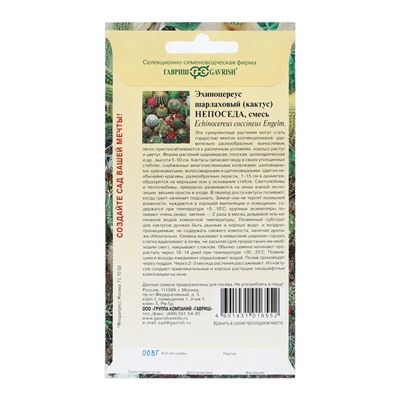 Семена комнатных цветов Кактус "Непоседа", ц/п,  0,05 г