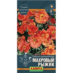 Портулак Махровый Рыжик (Код: 89551)