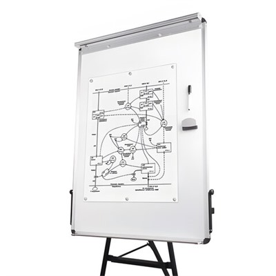 Доска-флипчарт магнитно-маркерная 70х100 см, тренога, ГАРАНТИЯ 10 ЛЕТ, BRAUBERG, 231720
