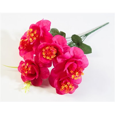 Букет "Кимоно" 6 цветков
