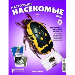 Журнал №64 "Настоящие насекомые" С ВЛОЖЕНИЕМ! Бронзовка-пахнода