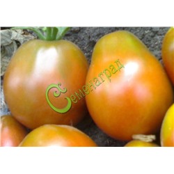 Семена томатов Инжир черный - 20 семян Семенаград (Россия)