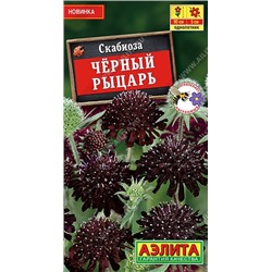 Скабиоза Черный рыцарь (Код: 92099)