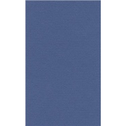 LANA Бумага для пастели «Lana Colours», 160 г/м², 21х29,7 см, 25 л, королевский голубой