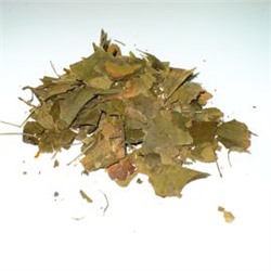 Гинкго-Билоба+Вербена (листья+трава)