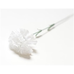 Искусственные цветы, Ветка одиночная гвоздика (1010237) белый