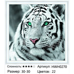 AM33 HWH0270, 30х30 см