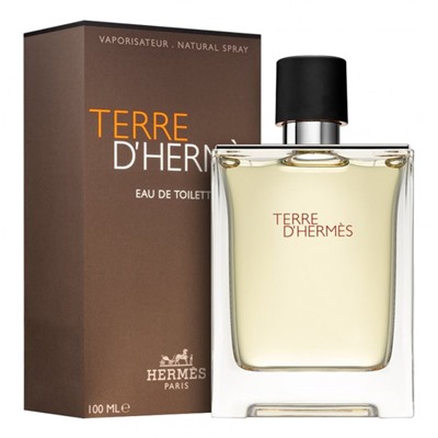 Hermes Terre D'Hermes edt for men 100 ml A-Plus