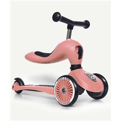 SCOOT AND RIDE
TROTINETTE HIGHWAYKICK 1 PÊCHE
