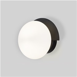 Настенный светильник со стеклянным плафоном
                     Eurosvet  70150/1 черный