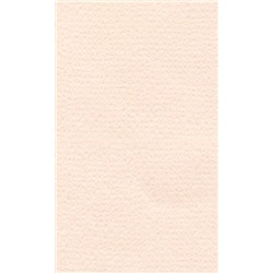 LANA Бумага для пастели «Lana Colours», 160 г/м², 21х29,7 см, 25 л, розовый кварц