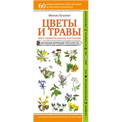 Цветы и травы. Мир удивительных растений Куценко М.Е.