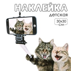 Наклейка 3Д интерьерная Котики 30*30см