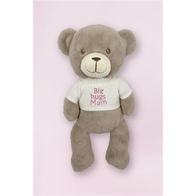 Mum To Be  Frankie Bear Soft Toy and Baby Rosebud Socks - Big Hugs