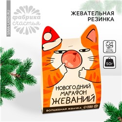 Новый год! Жевательная резинка «Новый год: Новогодний марафон жеваний», вкус: тутти-фрутти, 50 г.