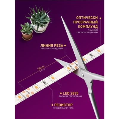 Светодиодная лента для растений ЭРА FITO-Strip Light-RB-2m красно-синего спектра, 2 м, IP65 с адапте