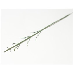 Искусственные цветы, Стебель для ветки гвоздики 50 см зеленый