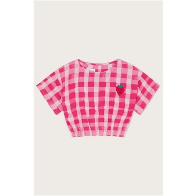 Monsoon Pink Check Crop Top