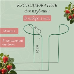 Кустодержатель для клубники, d = 20 см, h = 25 см, ножка d = 0,3 см, металл, зелёный