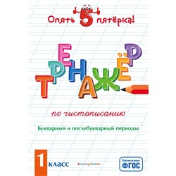 Тренажер по чистописанию. Букварный и послебукварный периоды. 1 класс Пожилова Е.О.