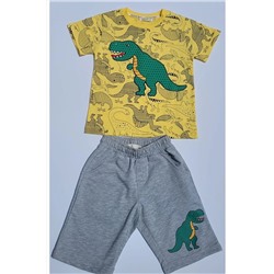 Комплект хлопковых шорт с динозавром для мальчика TYC00609440127