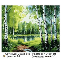 PH 40х50 CWA8646