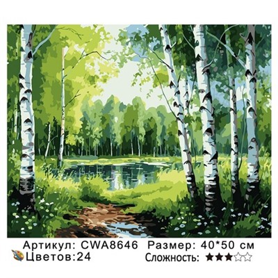 PH 40х50 CWA8646